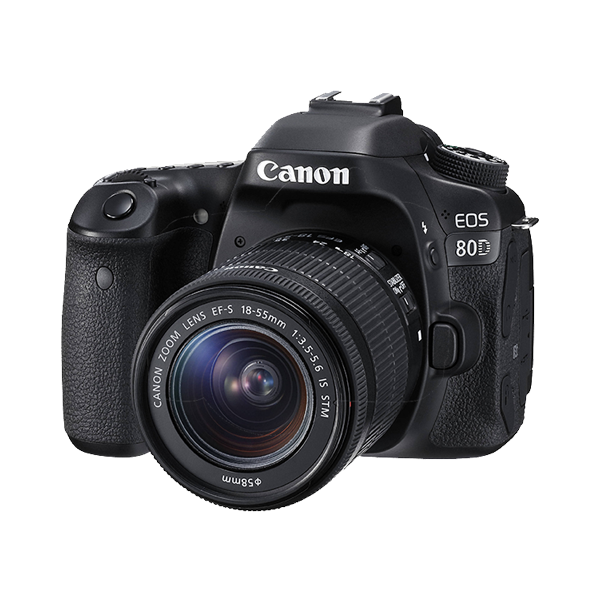 Aenean non pellentesque mauris - Imagen 2